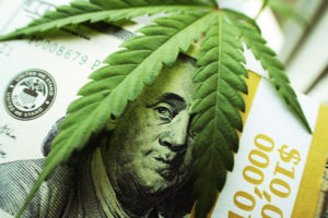 Blog | How will Cannabis legalization effect the retail hydroponics market?