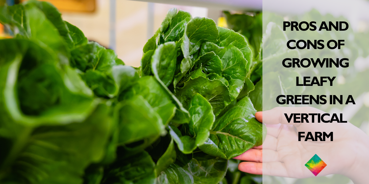 Pros and Cons of Growing Leafy Greens in a Vertical Farm P.L. Light
