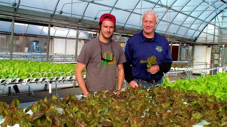 Growers Ben and Benjamin DeGoede stand behind a rack of lettuce