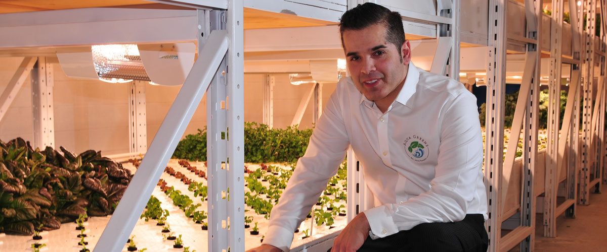 A member of the Aqua Greens team smiles as he sits beside the vertical growing racks with HSE Daylight fixture 