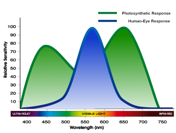 PAR vs Human eye spectrum chart