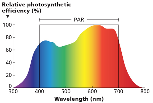 par light spectrum