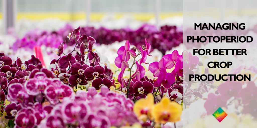 How to Manage Photoperiod for Better Crop Production
