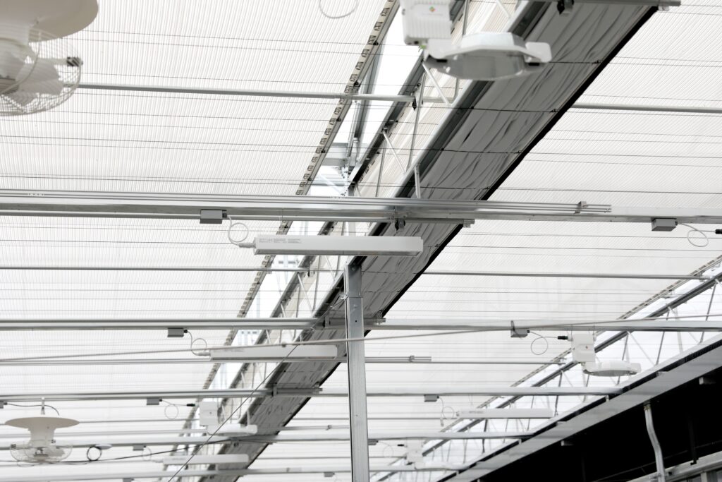 Overhead beams, pipes, and lighting fixtures in a bright greenhouse