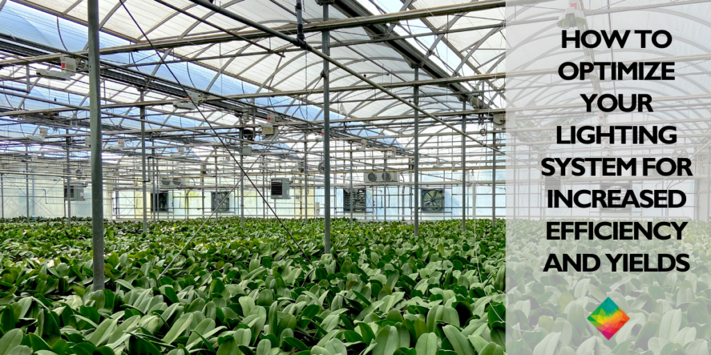 How to Optimize your Lighting System for Increased Efficiency and Higher Yields