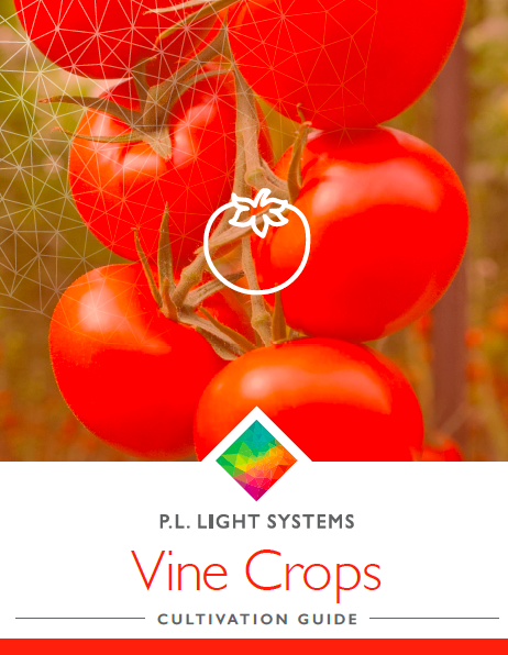 P.L. Light Systems Vine Crops Cultivation Guide cover