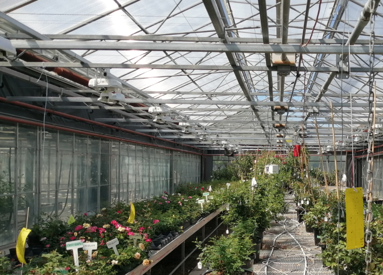 Vineland Research | P.L. Light Systems