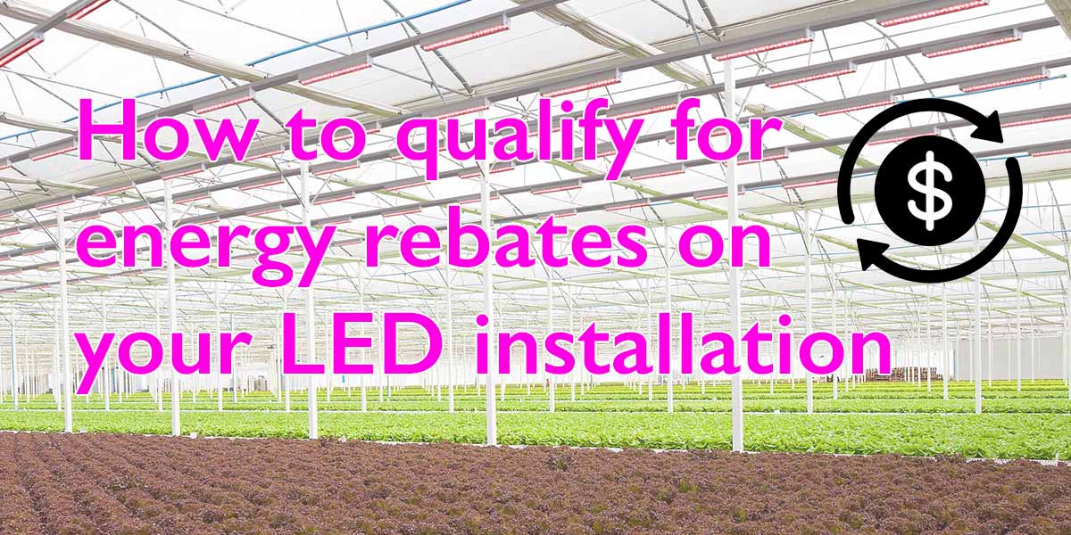 how-to-qualify-for-energy-rebates-on-your-led-installation-p-l-light