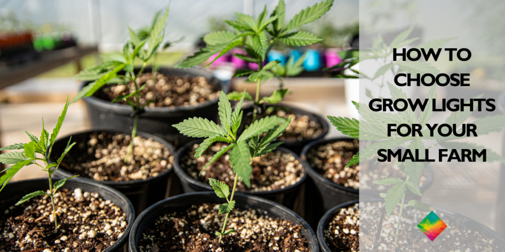 How to Choose Grow Lights for Your Small Farm