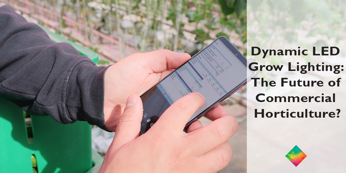 A person uses a smartphone outdoors near greenery. Text on the image reads: “Dynamic LED Grow Lighting: The Future of Commercial Horticulture?”.
