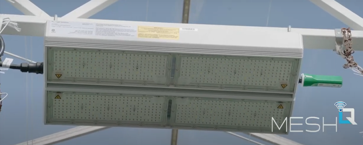 Close-up view of a rectangular LED lighting fixture suspended from a white metal frame, with the word MESH and a Wi-Fi icon in the lower right corner.