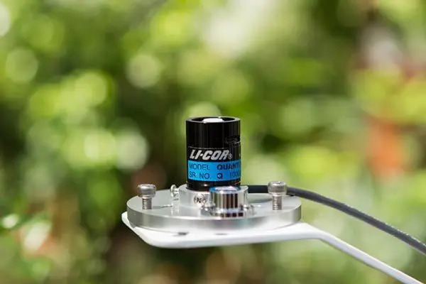 Close-up of a LI-COR quantum sensor mounted on a metal bracket outdoors, measuring light levels against a blurred green background.