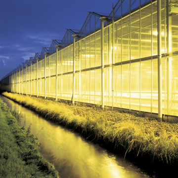 A large greenhouse with high transmissibility glass stands beside a narrow water canal at dusk, its illuminated interiors reflecting yellow light onto the water.