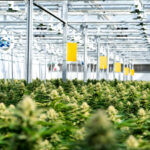 7ACRES