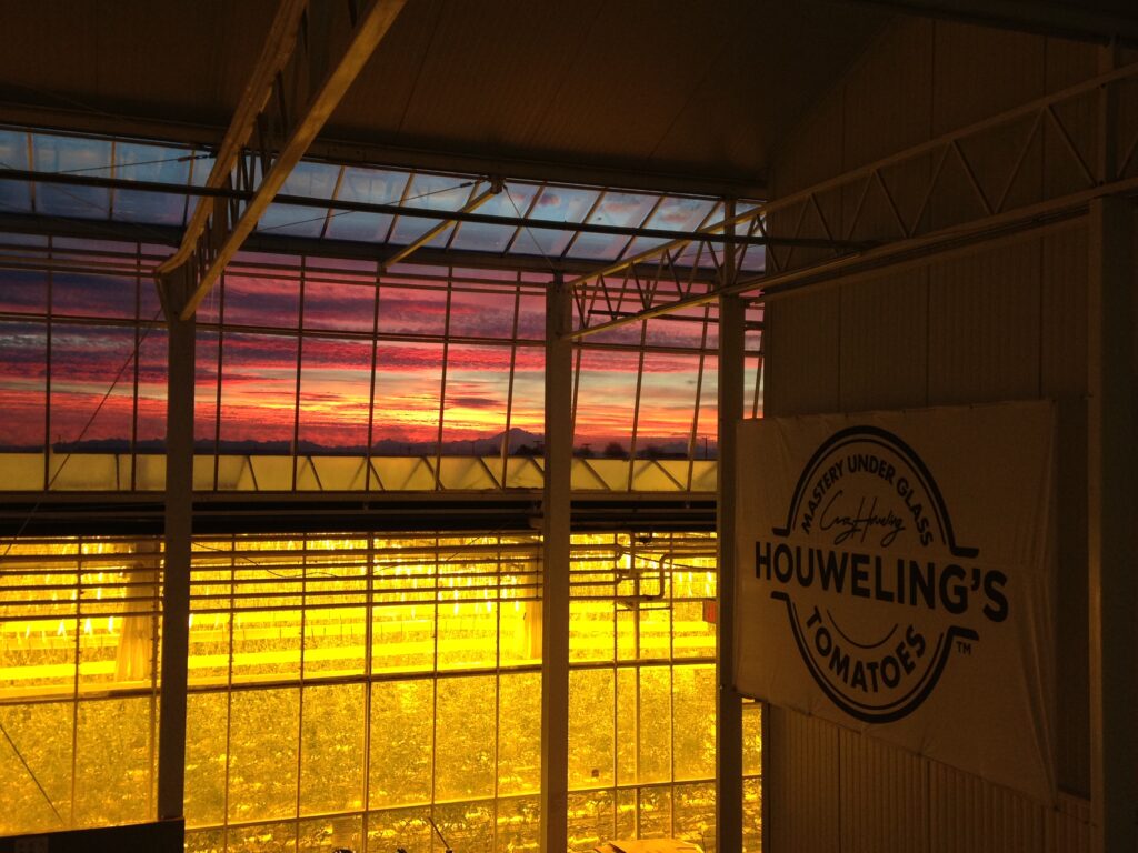 Inside the greenhouse, a soft yellow light bathes the Houwelings sign, casting a warm glow. Through the glass windows, a vibrant sunset unfurls in breathtaking pinks, purples, and oranges.