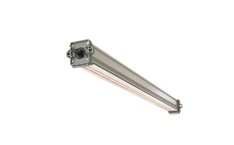 Two ParFX BalensBeam linear LED top-lighting beams