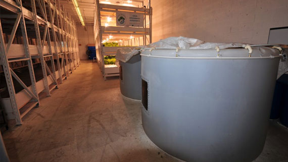 Two large vessels sit beside vertical growing racks with HSE Daylight fixtures attached.