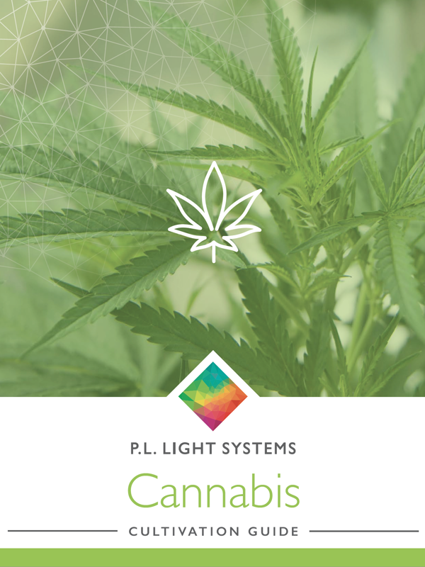 Cannabis Cultivation Guide cover