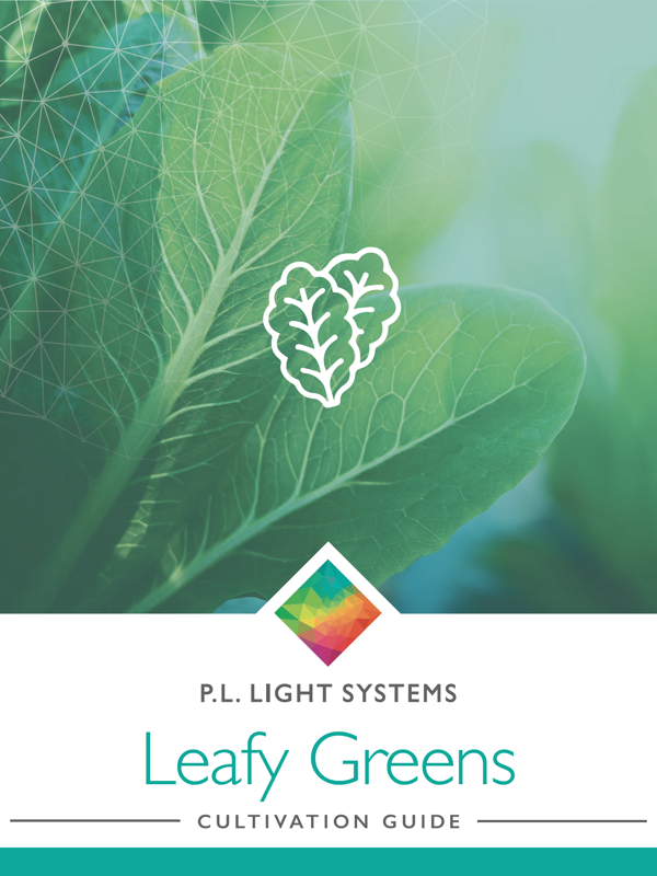 Leafy Greens Cultivation Guide cover