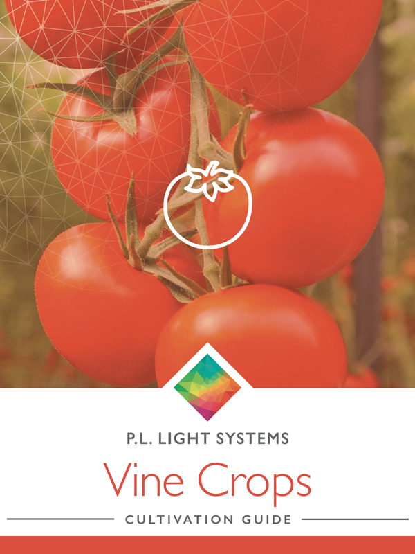 Vine Crops Cultivation Guide cover