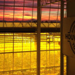 Houweling’s Group
