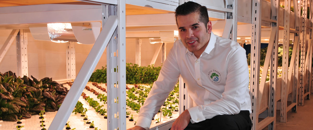 A member of the Aqua Greens team smiles as he sits beside the vertical growing racks with HSE Daylight fixture