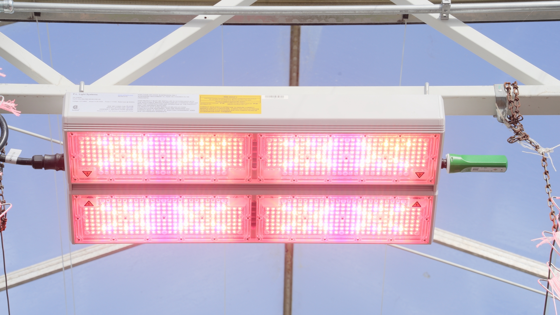 PARfx Ultra LED fixture glowing pink, mounted on a greenhouse truss