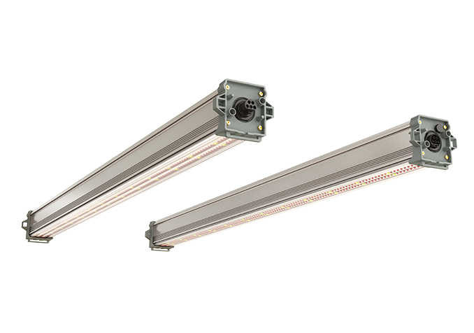 Two ParFX BalensBeam linear LED top-lighting beams