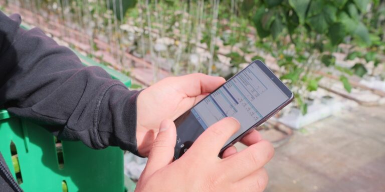 Dynamic LED Grow Lighting: The Future of Commercial Horticulture?