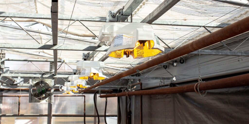 10 Ways to Ensure High Yields and Crop Productivity with your HPS Luminaires