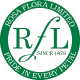 Rosa Flora