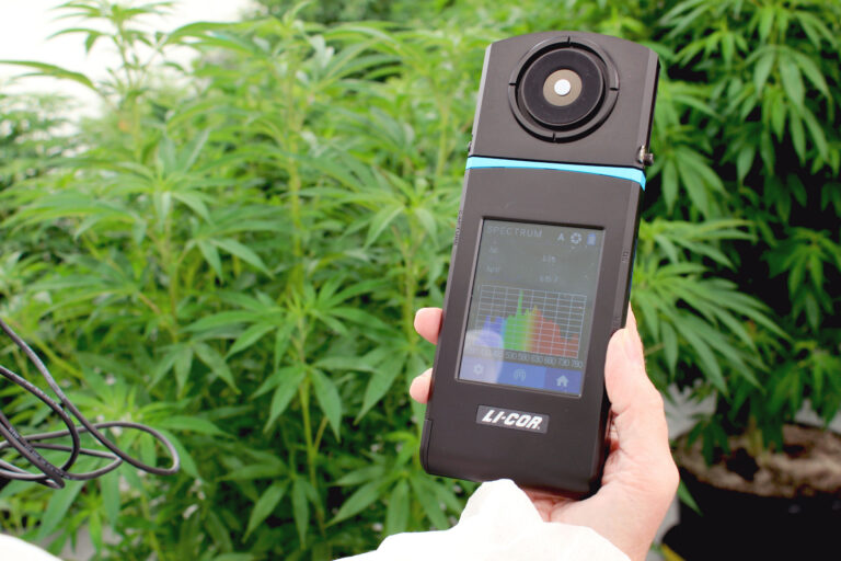 How to Benchmark Horticultural Lighting Performance Mid-Season: A Practical Guide for CEA Growers