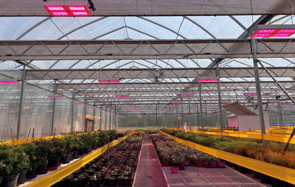 raised tables displaying various plants growing under LED lighting inside a commercial greenhouse