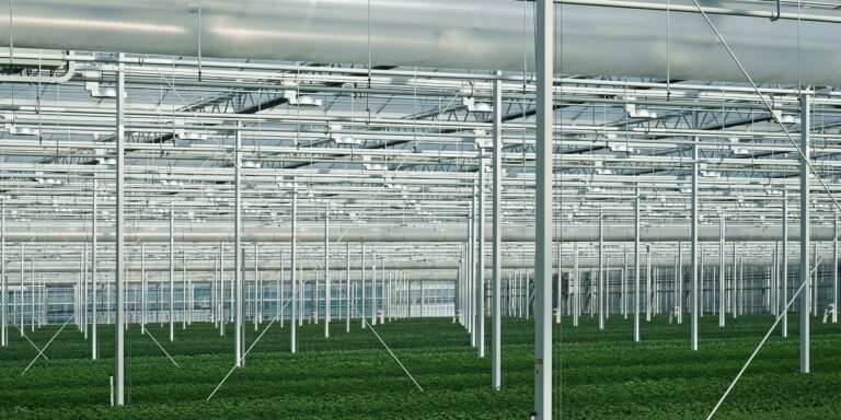Re-Lamping Pointers: How to Plan a Well-Thought-Out Re-lamping Schedule