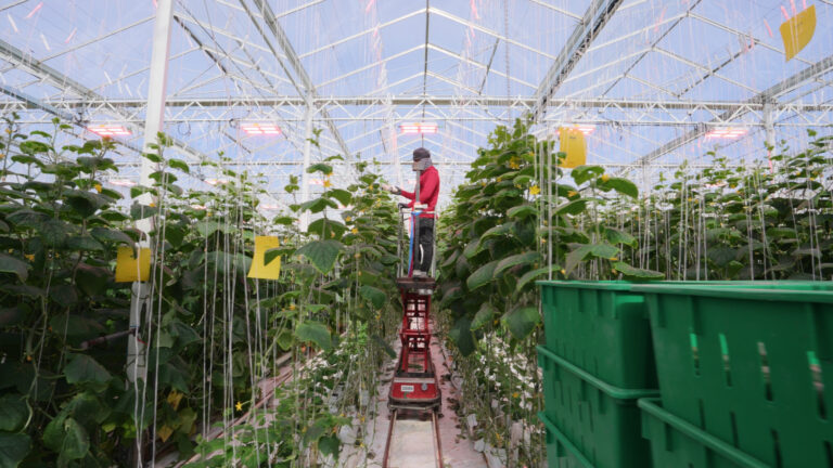 P.L. Light Systems Remains Independent and Operational